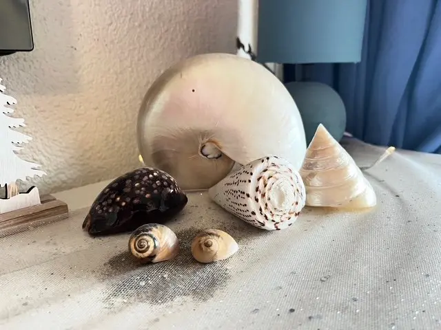 Résidence Los Amigos Ii