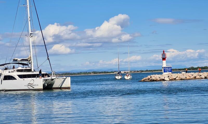 Résidence Marie Galante La Plage Au Bout Du Chemin ! - - Le Grau-du-Roi - 11