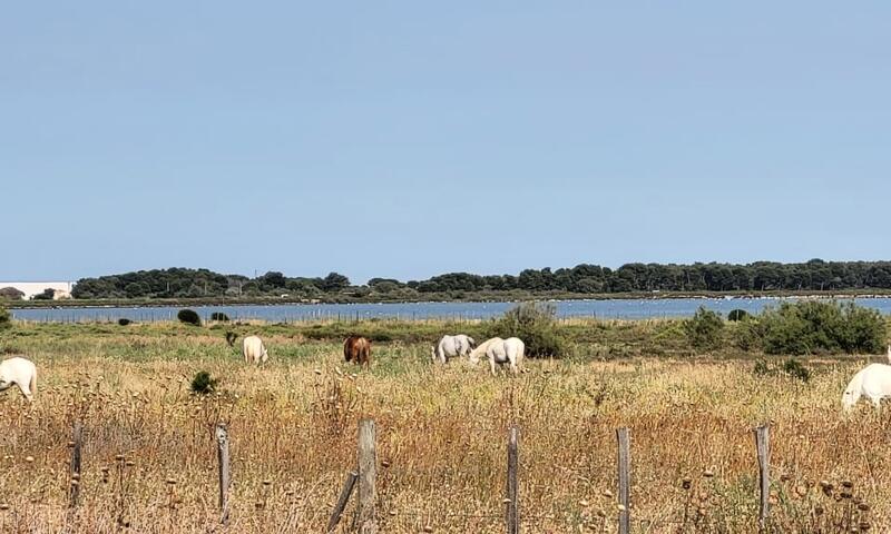 Résidence Marina Lairan Vue Sur L'eau Et Les Bateaux De Port Camargue 2 étoiles F - - Le Grau-du-Roi - 22