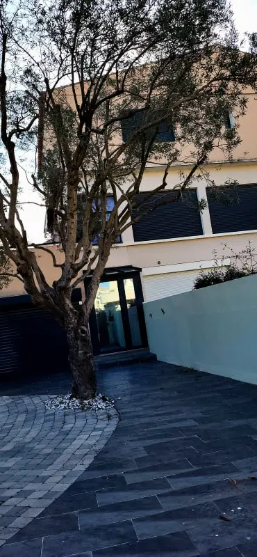 Résidence 🏰villa Camarguaise : Entre Plage Et Centre Ville Avec Bassin Extérieur