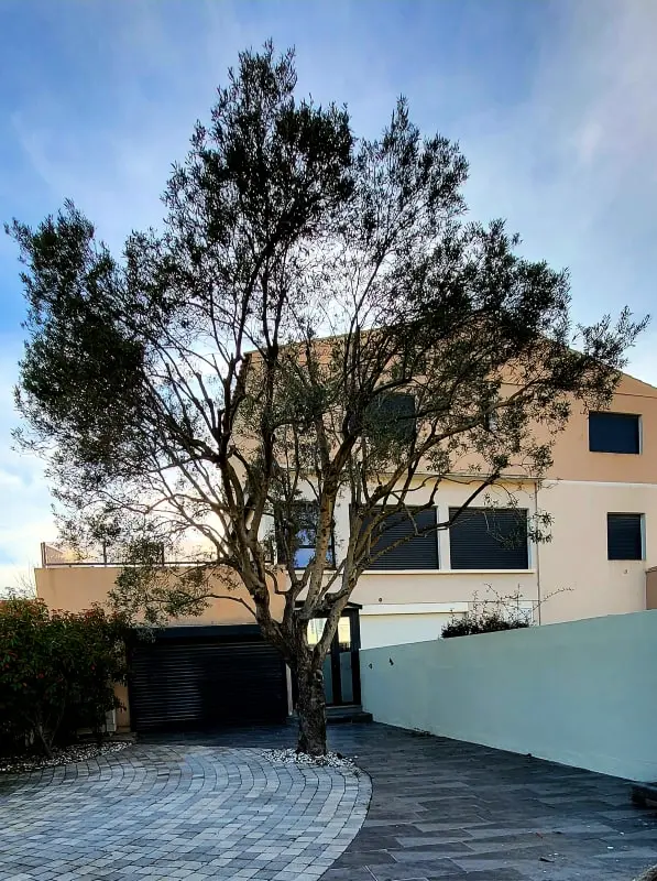Résidence 🏰villa Camarguaise : Entre Plage Et Centre Ville Avec Bassin Extérieur