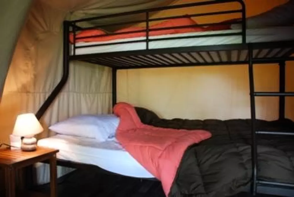 Camping Les Tournesols 3 étoiles★★★