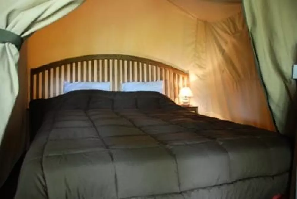 Camping Les Tournesols 3 étoiles★★★