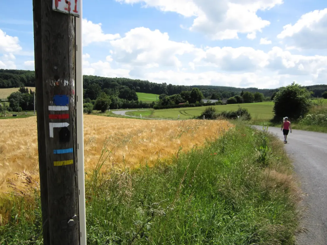 Camping Les Tournesols 3 étoiles★★★