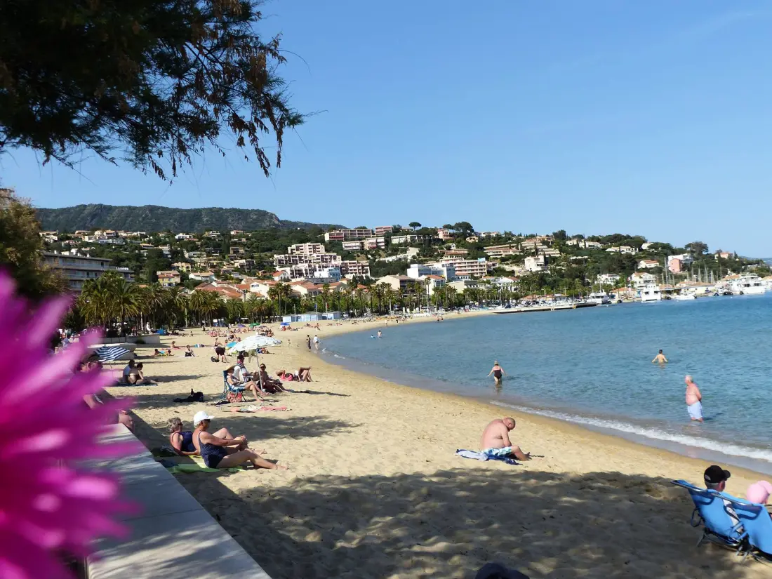 Location de Vacances Le Lavandou 187