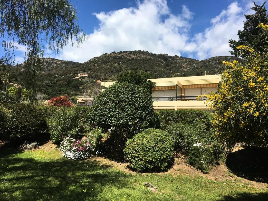 Location de Vacances Le Lavandou 212