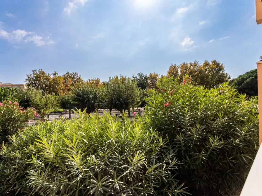 Résidence L'Alicastre