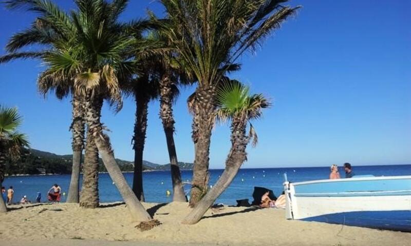 Résidence Parcs De La Fouasse - Le Lavandou - 29