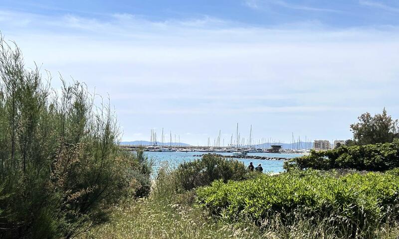 Résidence Thalassa - - Le Lavandou - 17