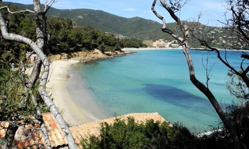 Résidence Vallon - - Le Lavandou - 15