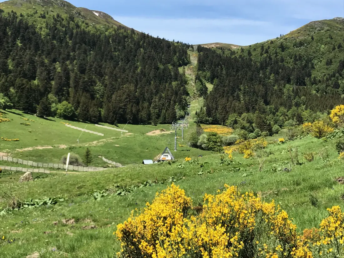 Appartements à Le Lioran