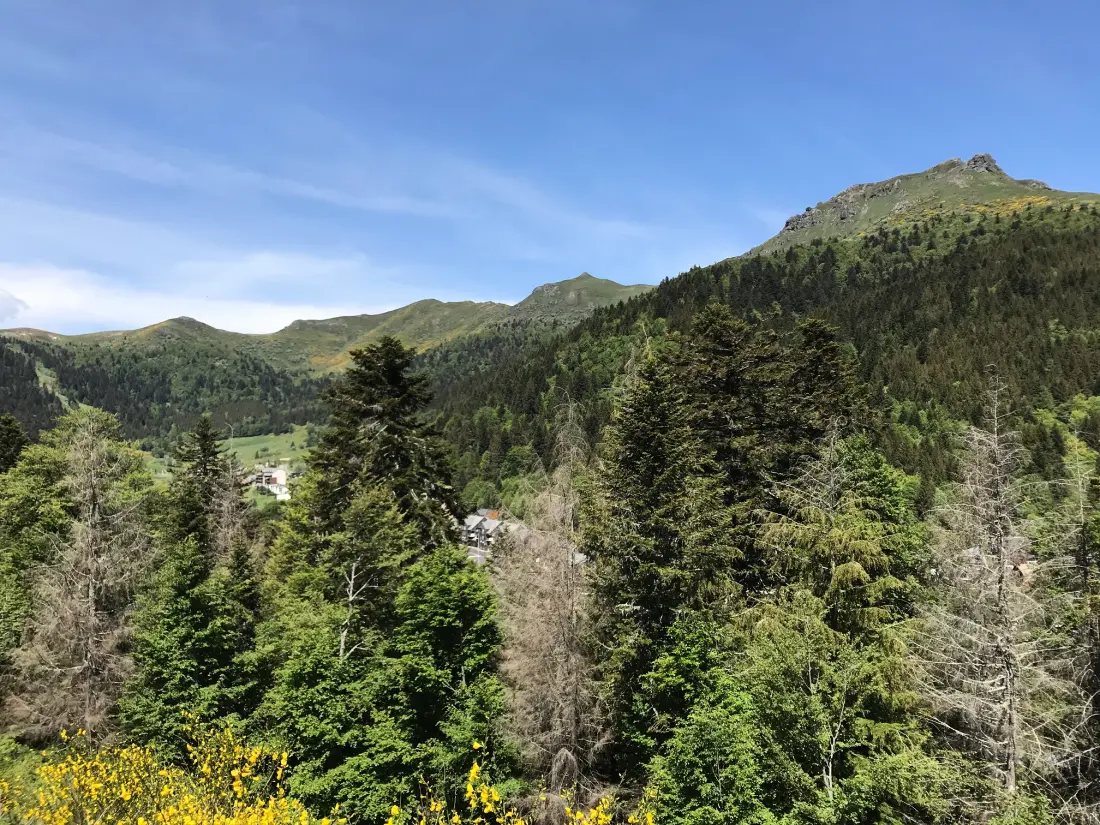 Appartements à Le Lioran