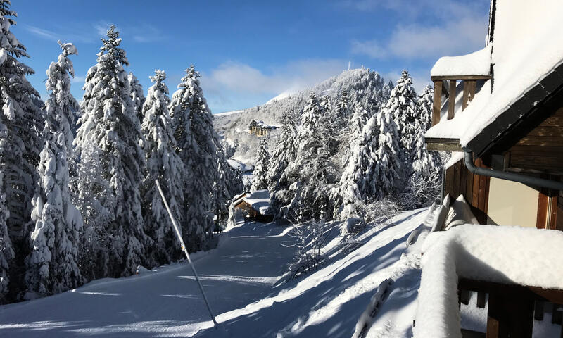 Appartements à Le Lioran - Chavagnac - - Le Lioran - Chavagnac - 36