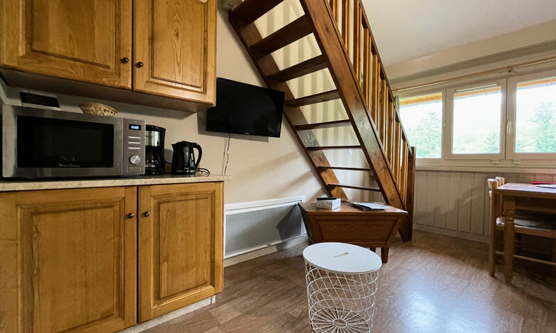 Appartements à Le Lioran - Chavagnac - - Le Lioran - Chavagnac - 7