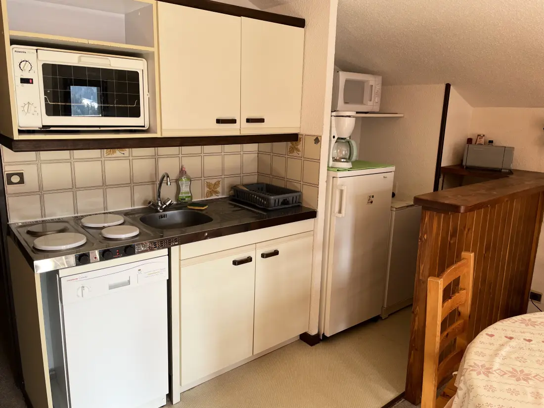 Appartements à Le Lioran