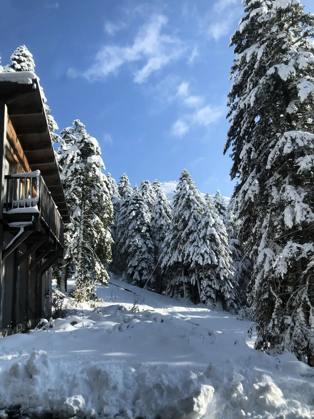 Appartements à Le Lioran