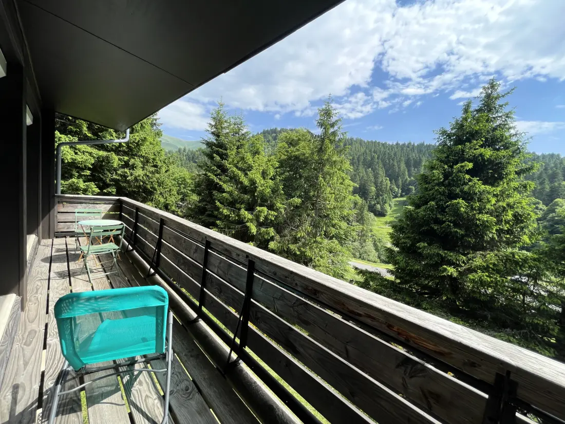 Appartements à Le Lioran