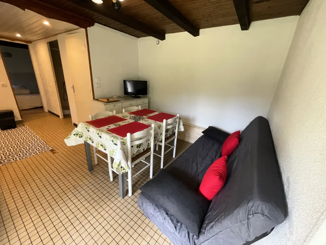 Appartements à Le Lioran