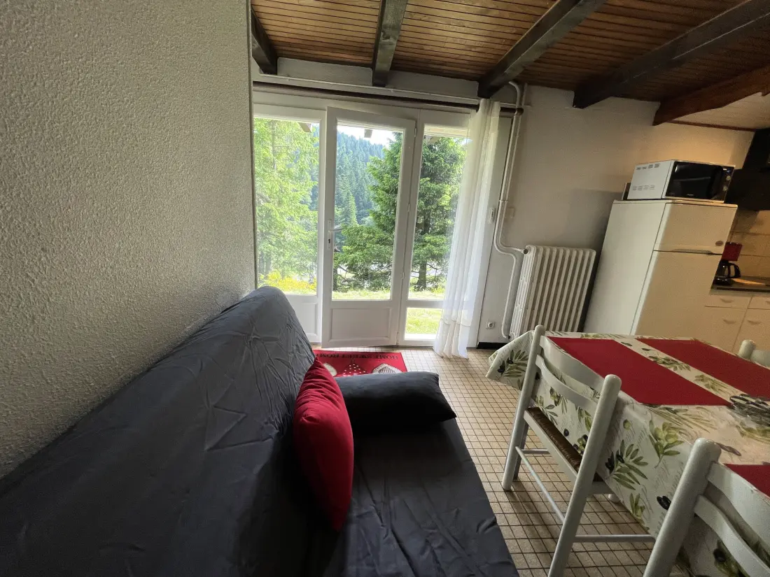Appartements à Le Lioran