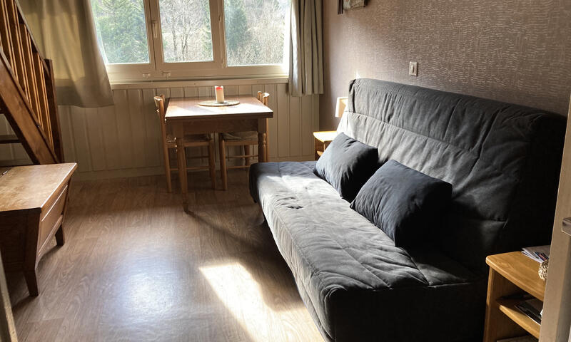 Appartements à Le Lioran - Chavagnac - - Le Lioran - Chavagnac - 1