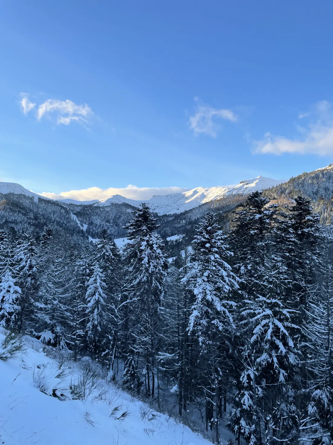 Chalets à Le Lioran