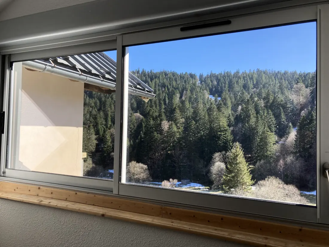 Appartements à Le Lioran