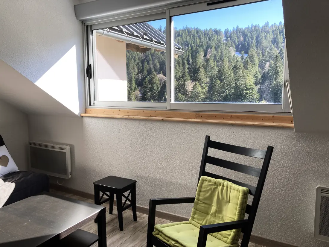 Appartements à Le Lioran