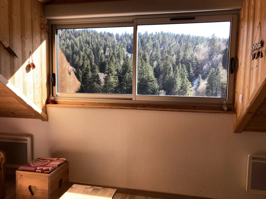 Appartements à Le Lioran