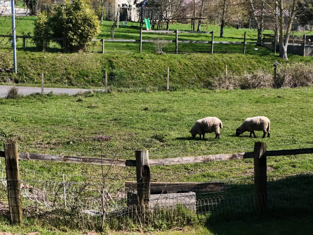 Maison de Vacances LE MERLERAULT 5