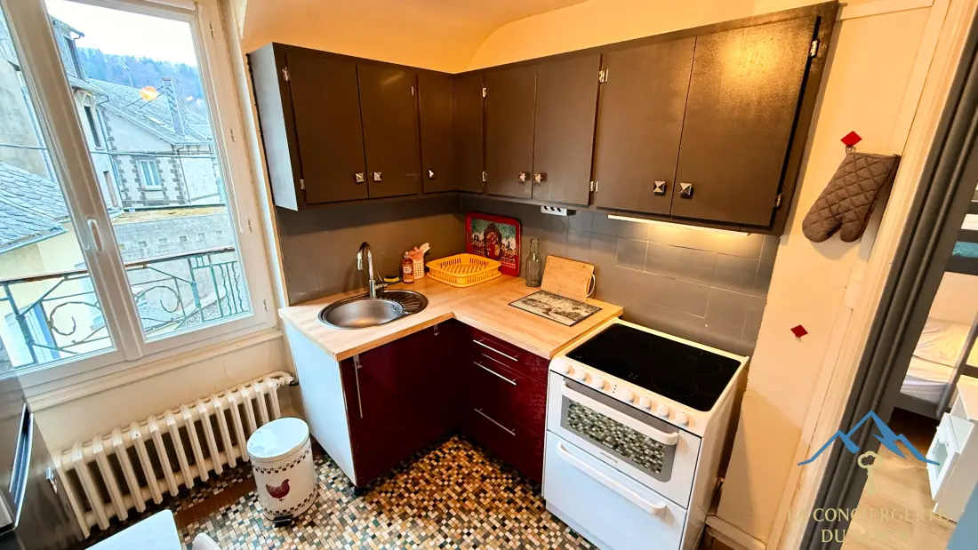 Appartements à Le Mont Dore
