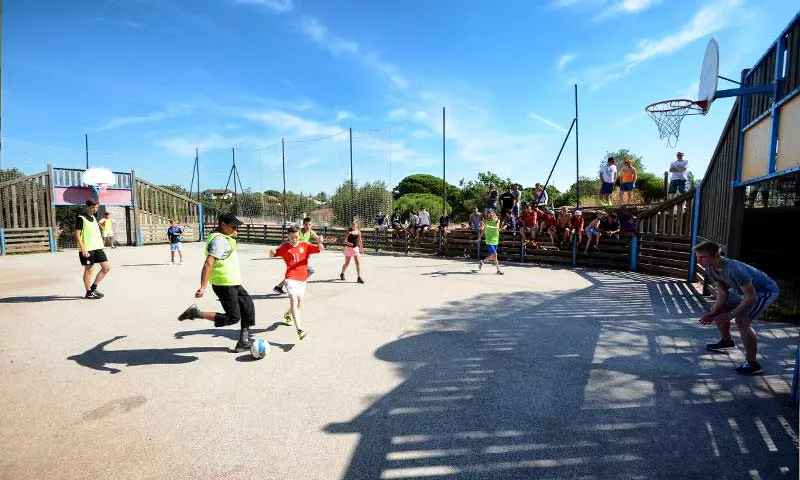 Les Cigales Provence-Alpes-Côte d'Azur - Le Muy visuel 39/41