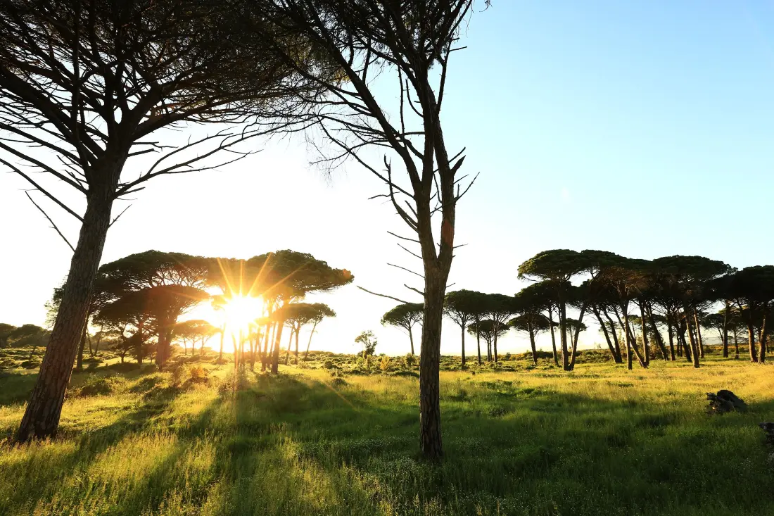 Camping Tikayan Les Cigales 5 étoiles★★★★★