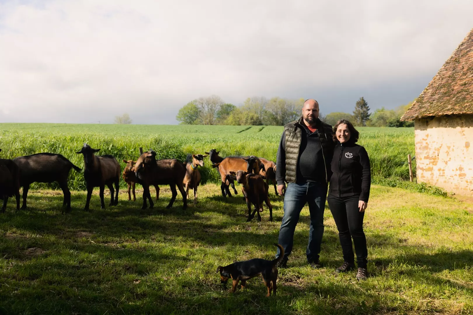 Tiny House : au coeur de la nature près de Sancerre - 5