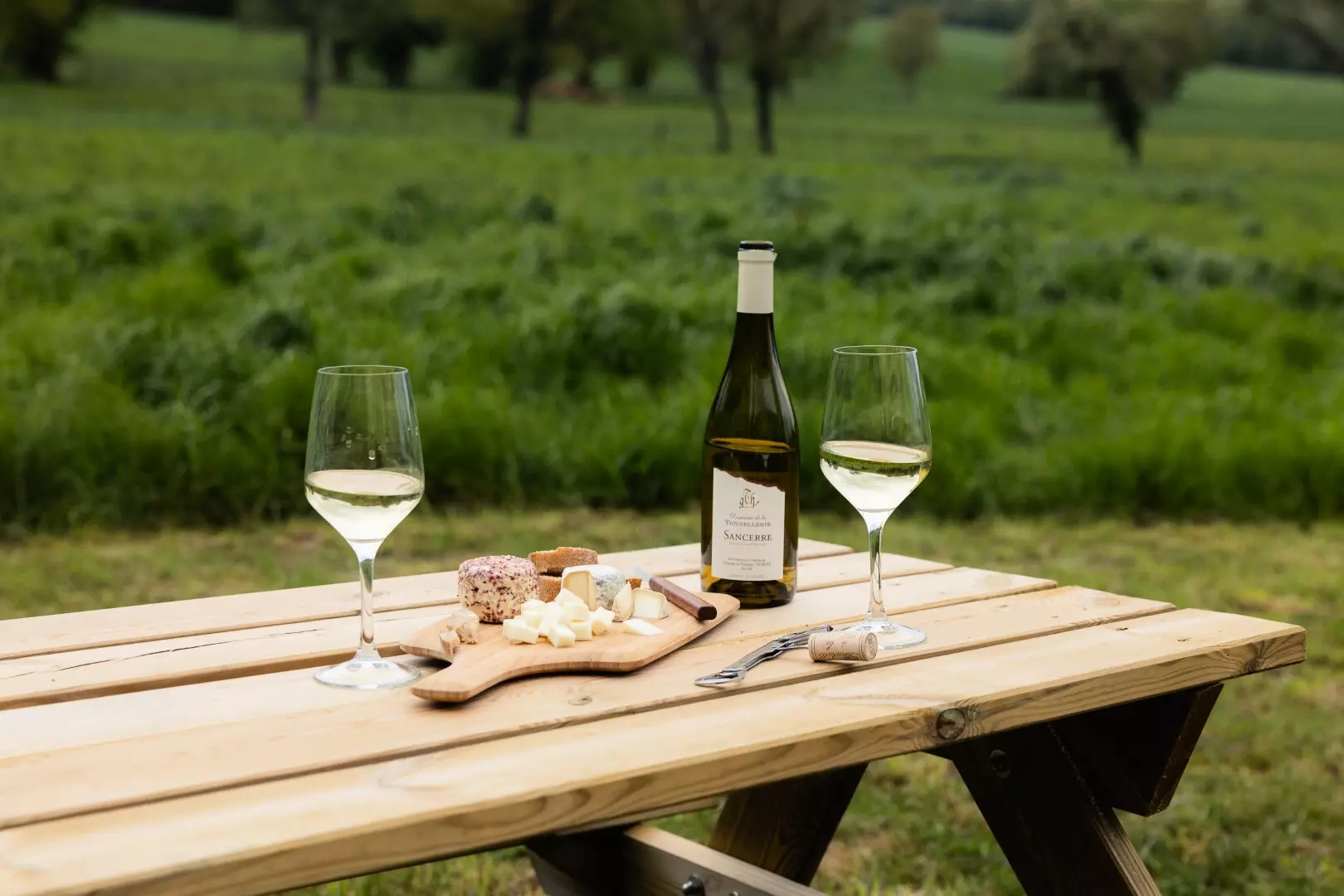 Tiny House : au coeur de la nature près de Sancerre - 3