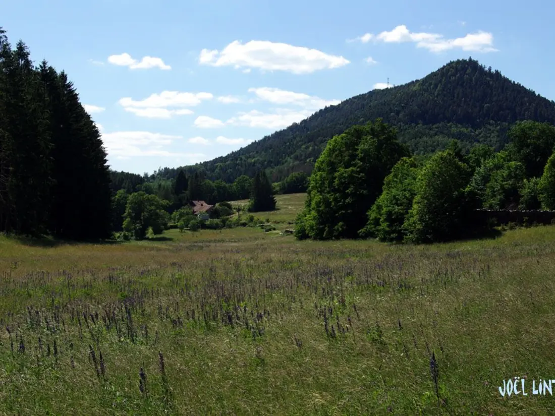 Location de Vacances Le Saulcy 4