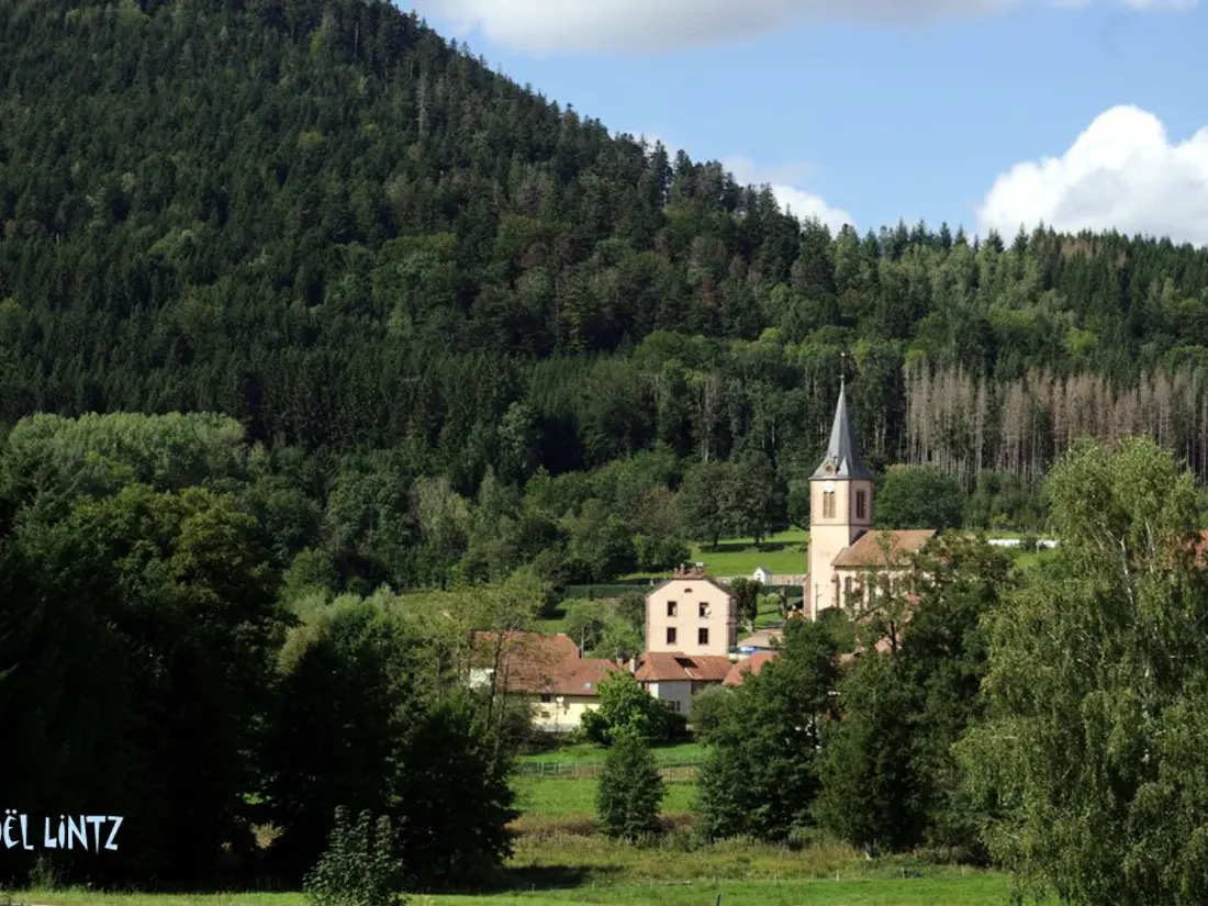 Location de Vacances Le Saulcy 4
