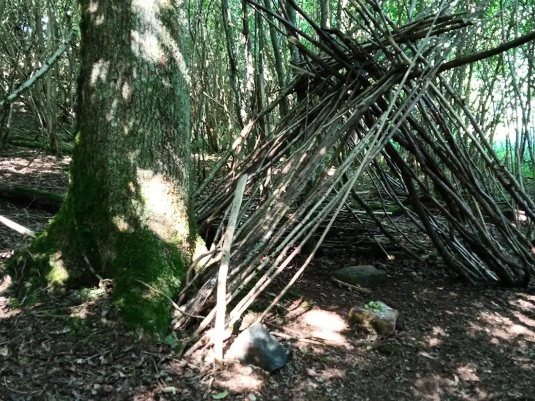 Location de Vacances Le Saulcy 4