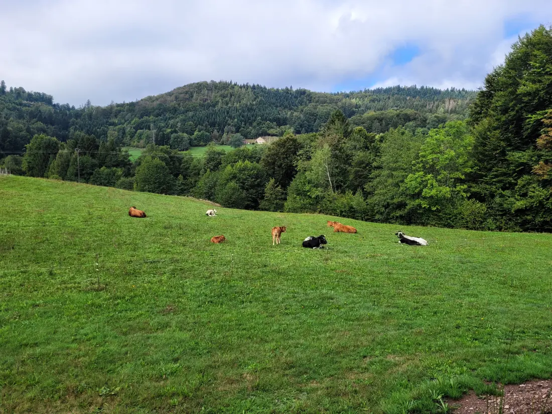 Location de Vacances Le Thillot 3