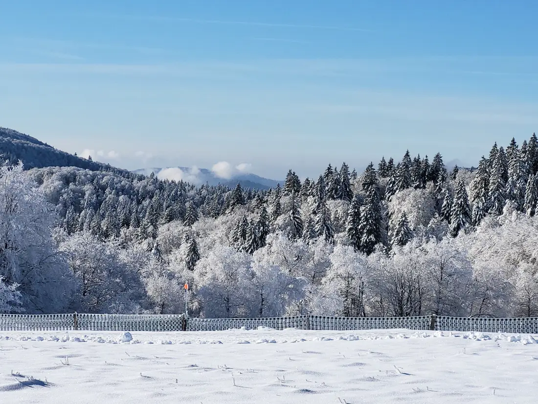 Location de Vacances Le Thillot 3
