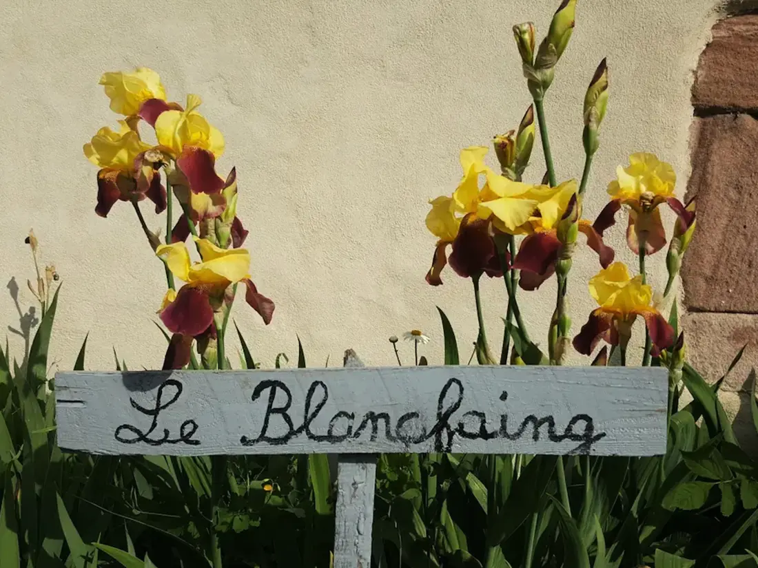 Location de Vacances Le Tholy 12