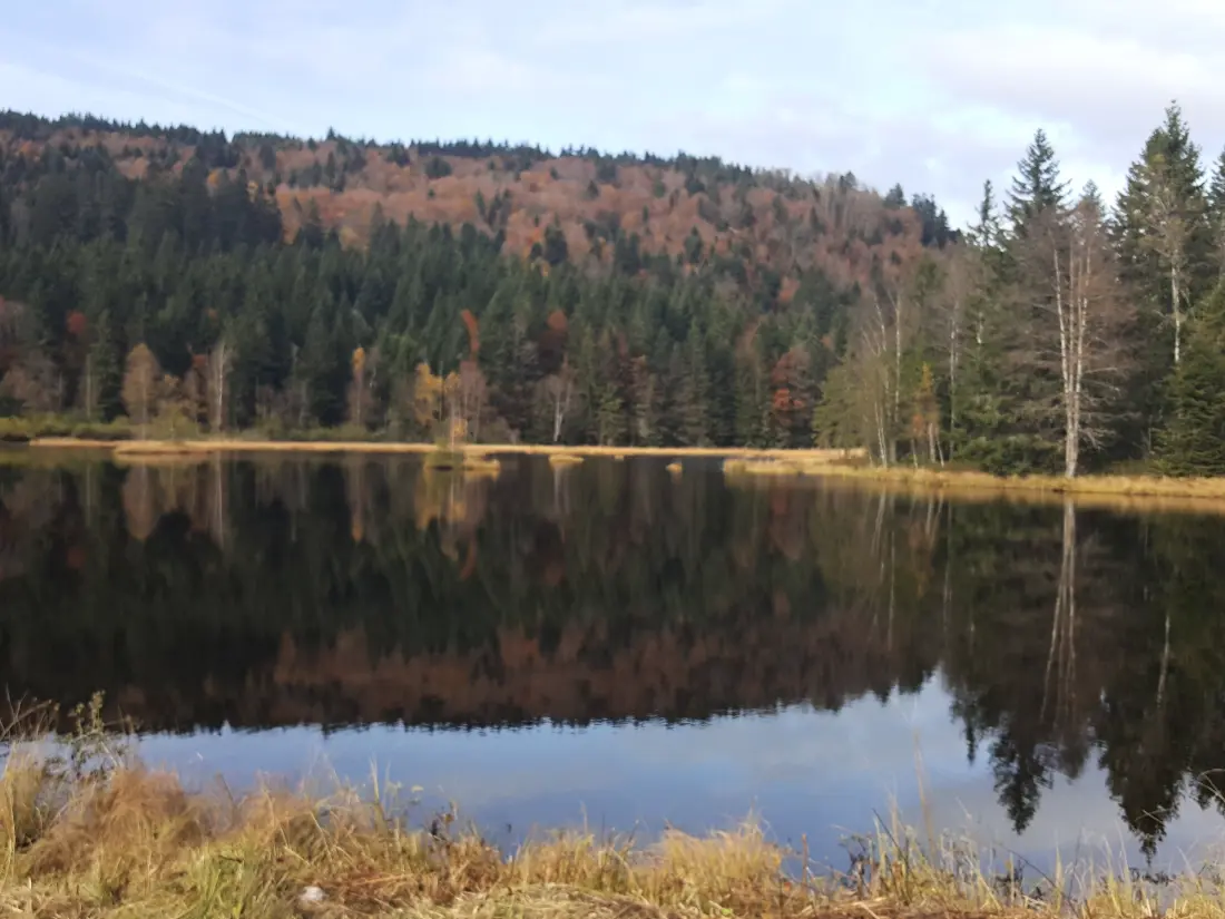 Location de Vacances Le Tholy 12