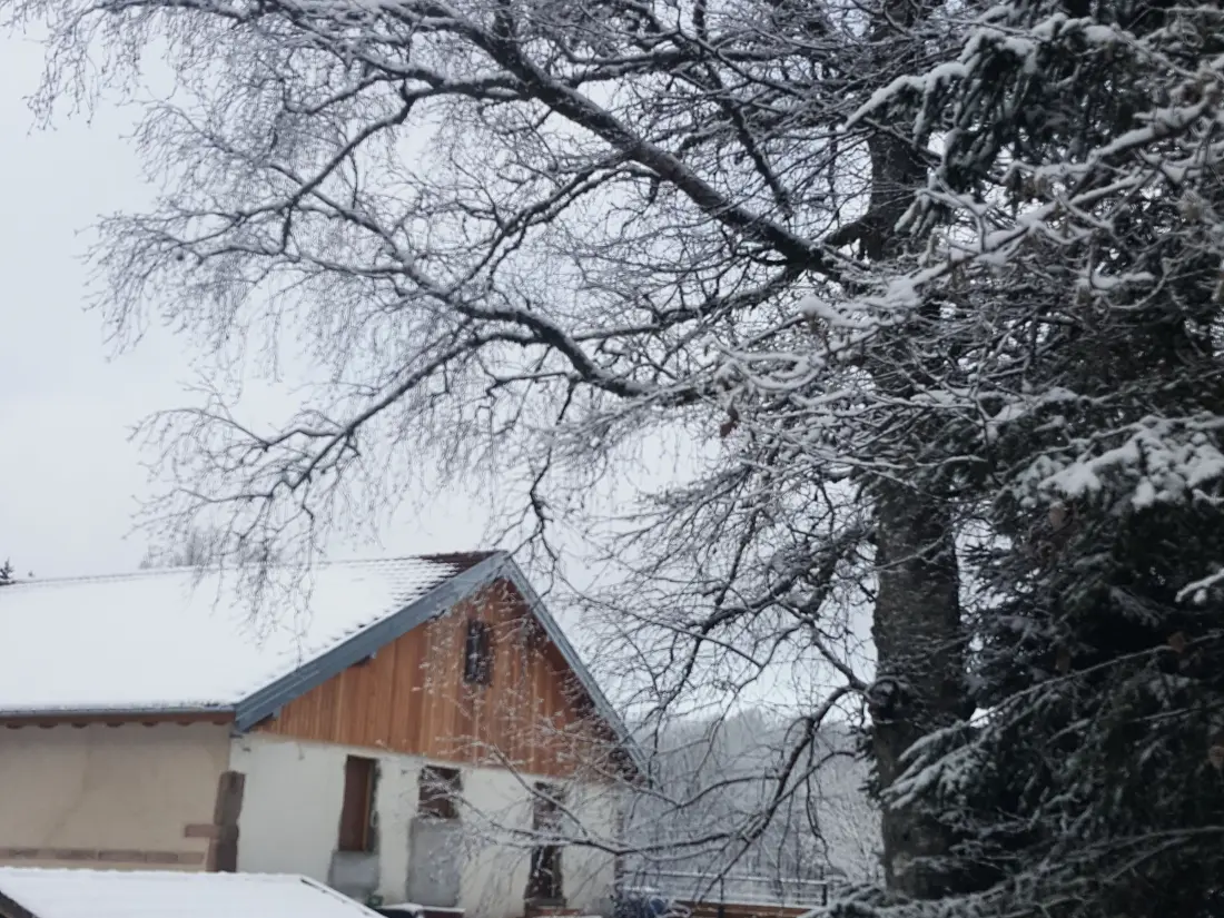 Location de Vacances Le Tholy 12