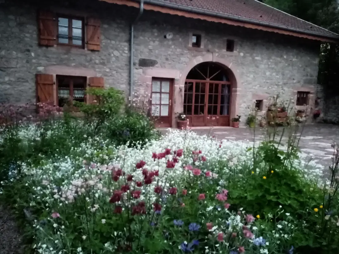 Location de Vacances Le Tholy 16