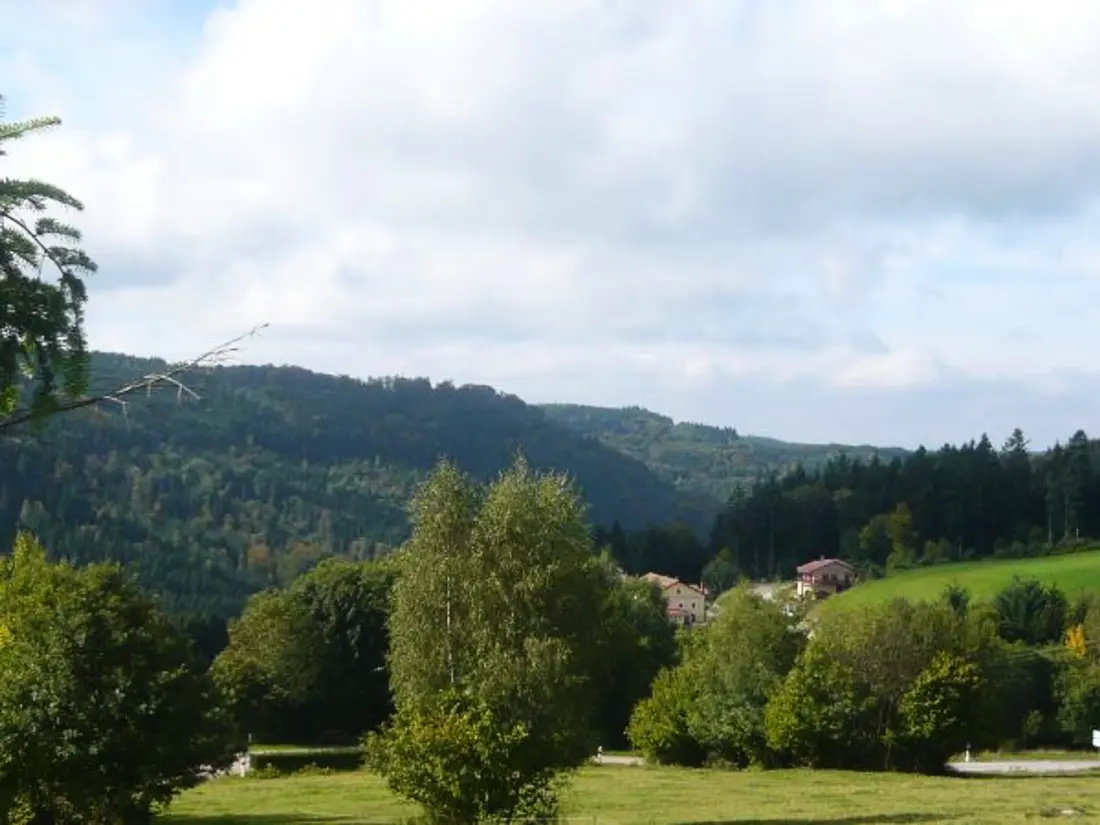 Location de Vacances Le Tholy 3