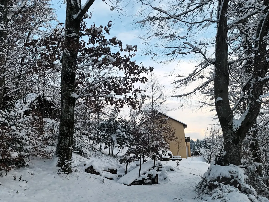 Location de Vacances Le Tholy 3