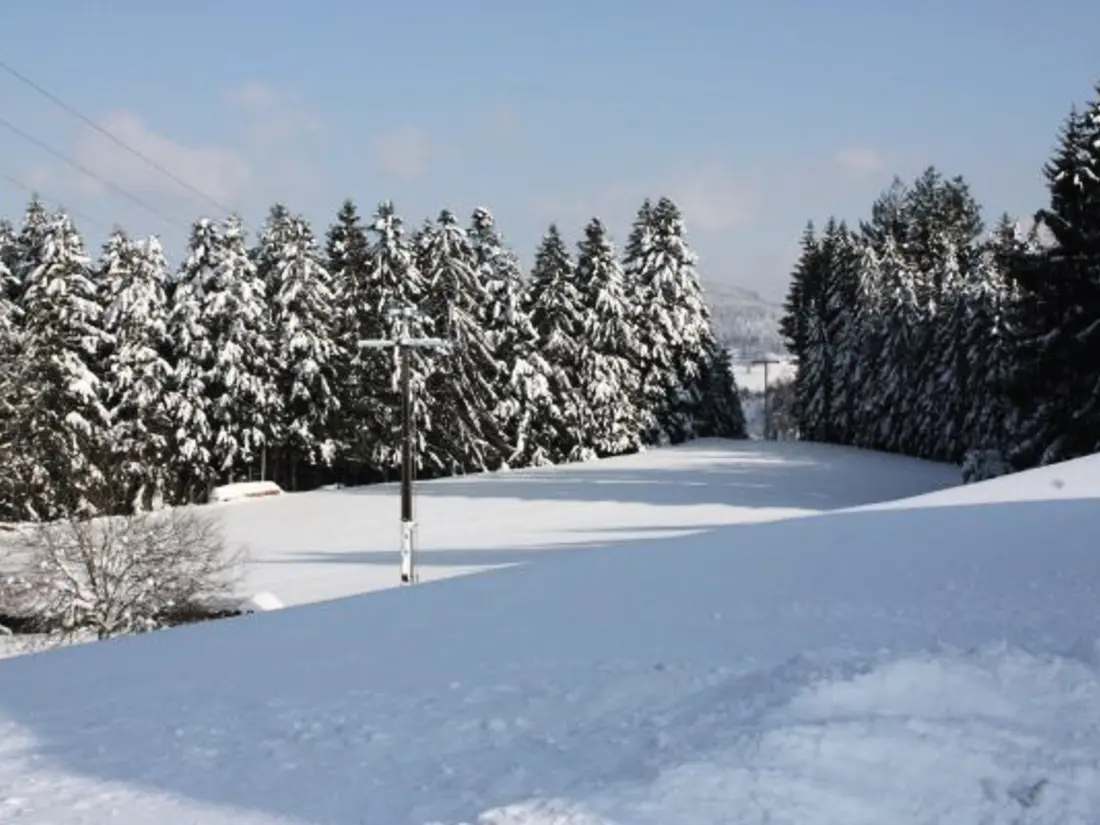 Location de Vacances Le Tholy 7