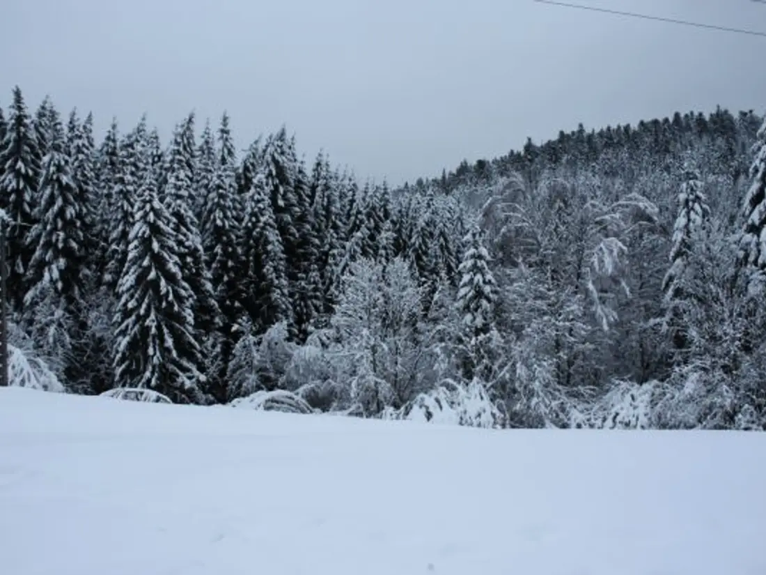 Location de Vacances Le Tholy 7