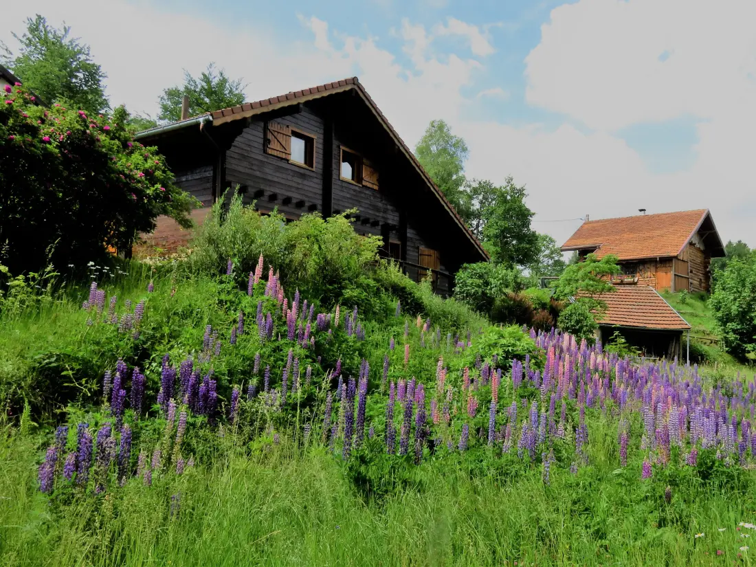 Maison de Vacances Le Tholy 8
