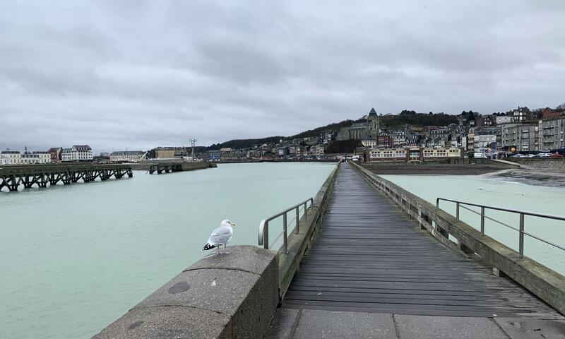 Gîte de France Ma piote cabine 2 épis - - Le Tréport - 23
