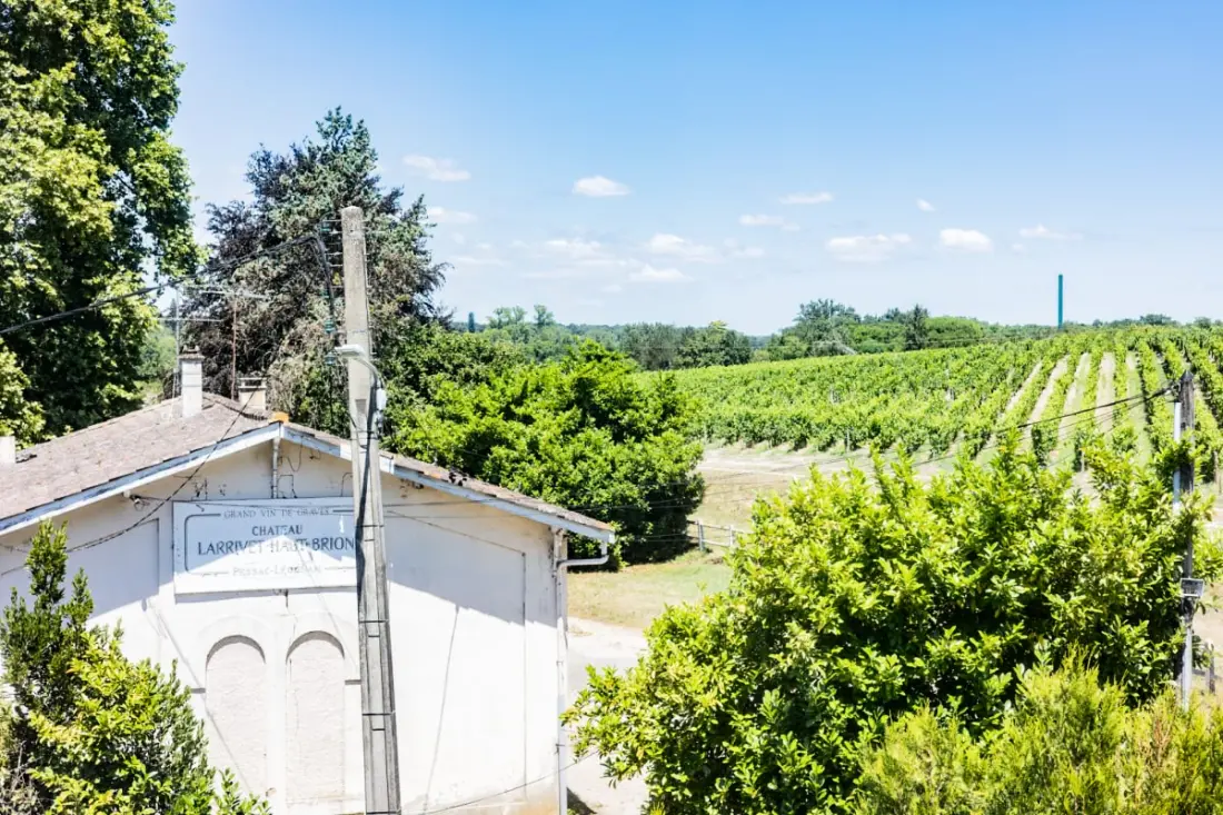 Château Larrivet Haut Brion